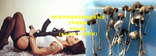 хмурый Абинск