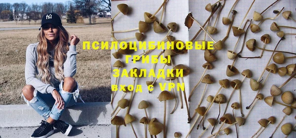шишки Протвино