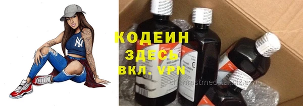 гидра Абаза