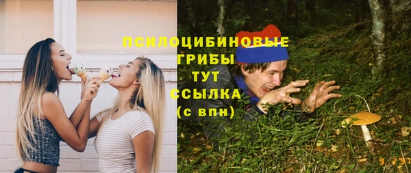 гидра Абаза