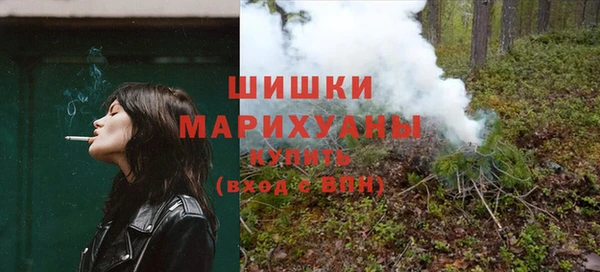 гидра Абаза