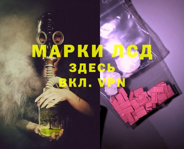 гидра Абаза