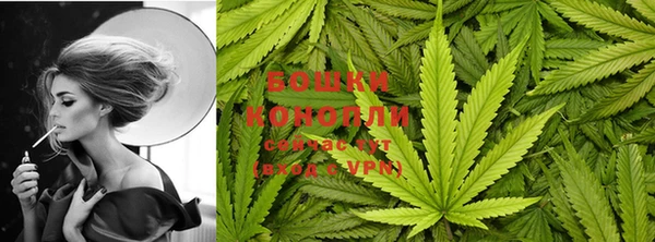 гидра Абаза
