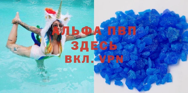 гидра Абаза