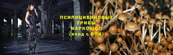 гидра Абаза