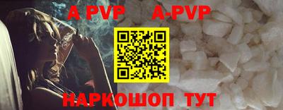 эйфоретик Кингисепп