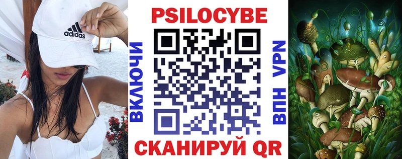Галлюциногенные грибы Psilocybe  Дубна 