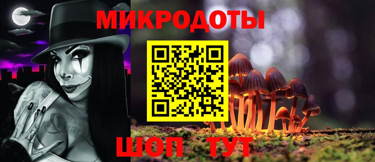 Псилоцибиновые грибы Psilocybe Дубна